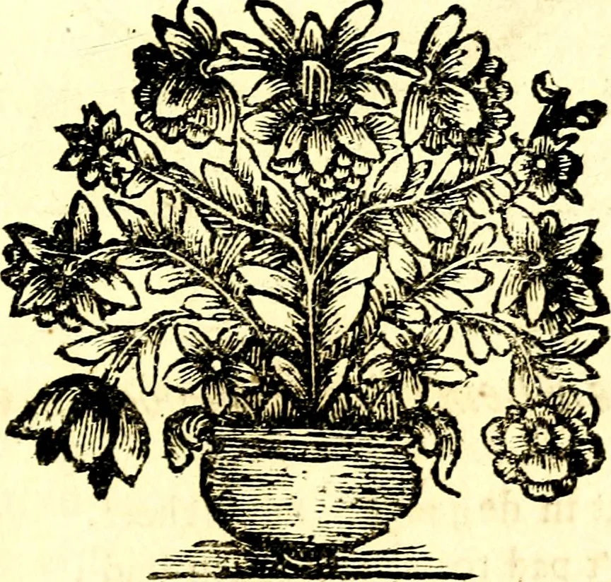 An illustration from Zederyke zinnebeelden, vertoont in konstplaten, door kragtige redeneeringen en maat-digt ten nutte van het menschelyke leven toegepast, 1713, leaf 236