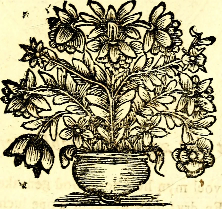 An illustration from Zederyke zinnebeelden, vertoont in konstplaten, door kragtige redeneeringen en maat-digt ten nutte van het menschelyke leven toegepast, 1713, leaf 248