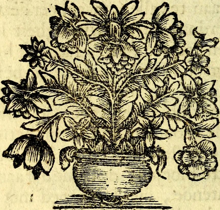An illustration from Zederyke zinnebeelden, vertoont in konstplaten, door kragtige redeneeringen en maat-digt ten nutte van het menschelyke leven toegepast, 1713, leaf 283