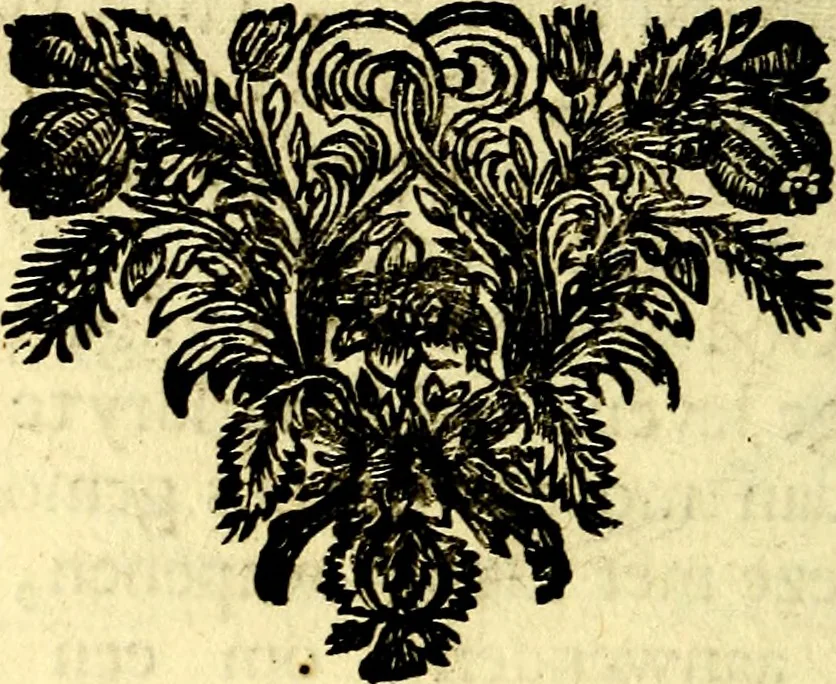 An illustration from Zederyke zinnebeelden, vertoont in konstplaten, door kragtige redeneeringen en maat-digt ten nutte van het menschelyke leven toegepast, 1713, leaf 57