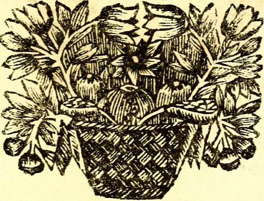 An illustration from Zederyke zinnebeelden, vertoont in konstplaten, door kragtige redeneeringen en maat-digt ten nutte van het menschelyke leven toegepast, 1713, leaf 76