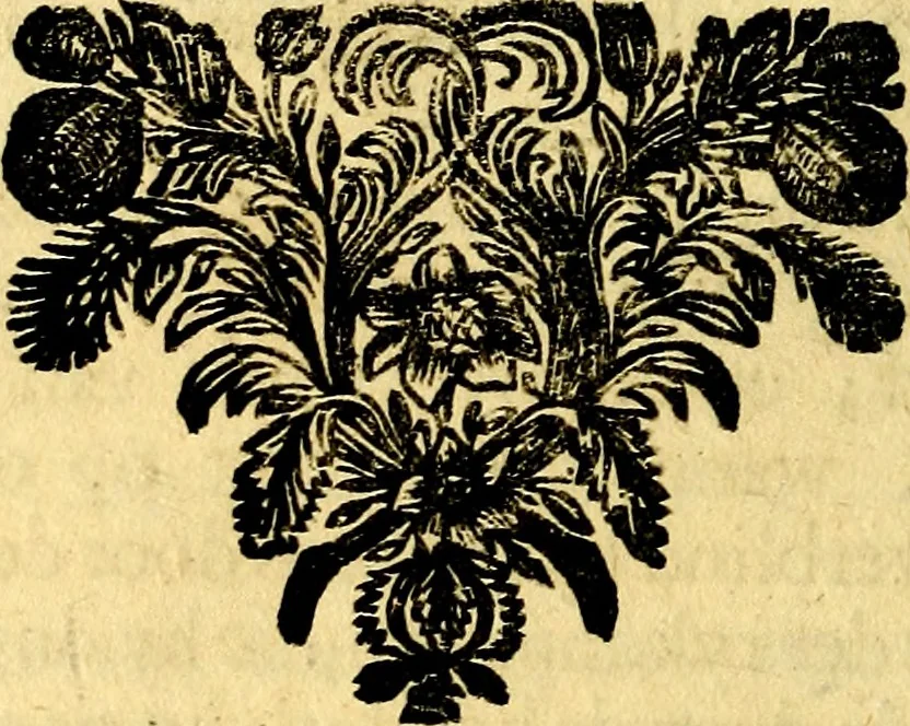 An illustration from Zederyke zinnebeelden, vertoont in konstplaten, door kragtige redeneeringen en maat-digt ten nutte van het menschelyke leven toegepast, 1713, leaf 81