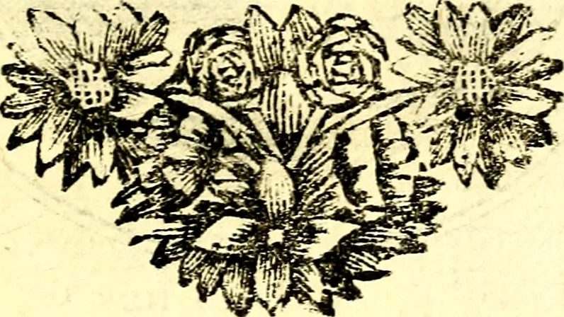 An illustration from Zederyke zinnebeelden, vertoont in konstplaten, door kragtige redeneeringen en maat-digt ten nutte van het menschelyke leven toegepast, 1713, leaf 88