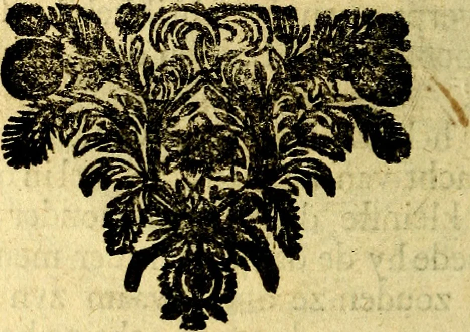 An illustration from Zederyke zinnebeelden, vertoont in konstplaten, door kragtige redeneeringen en maat-digt ten nutte van het menschelyke leven toegepast, 1713, leaf 91