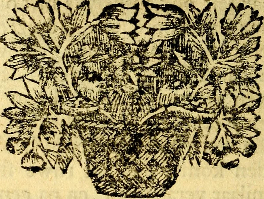 An illustration from Zederyke zinnebeelden, vertoont in konstplaten, door kragtige redeneeringen en maat-digt ten nutte van het menschelyke leven toegepast, 1713, leaf 97