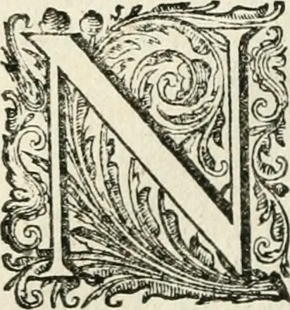 An illustration from Zee-politie der Vereenigde Nederlanden, ende in twee boecken beschreven, 1670, leaf 99