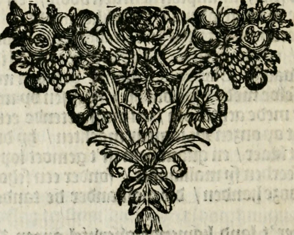 An illustration from Zeer aanmerkelijke reysen gedaan door Jan Erasmus Reining, meest in de West-Indien en ook in veel andere deelen des werelds. &c. : waer in kortelijk verhandelt werd het geen hem van syn kintsche jaren avontuurlyk ter zee en te land tot zijn 49ste jaar is voorgevallen, soo tegens de wilden, als voor en tegens de Spanjaarden, en voor en tegens de Engelschen, Franse, Portugese en meer andere natien : groote hongers-nood, schrikkelijke elende, perijkelen zijns levens, stoute actien, kloekmoedige uitvoeringen, en victorieuse verrigtinge, 1691, leaf 157