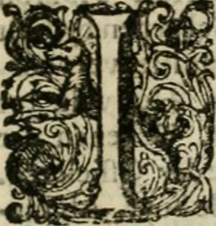 An illustration from Zeer aanmerkelijke reysen gedaan door Jan Erasmus Reining, meest in de West-Indien en ook in veel andere deelen des werelds. &c. : waer in kortelijk verhandelt werd het geen hem van syn kintsche jaren avontuurlyk ter zee en te land tot zijn 49ste jaar is voorgevallen, soo tegens de wilden, als voor en tegens de Spanjaarden, en voor en tegens de Engelschen, Franse, Portugese en meer andere natien : groote hongers-nood, schrikkelijke elende, perijkelen zijns levens, stoute actien, kloekmoedige uitvoeringen, en victorieuse verrigtinge, 1691, leaf 158