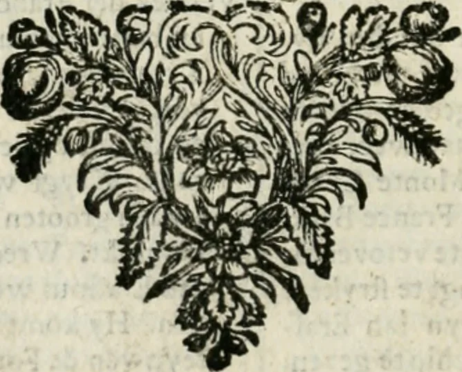 An illustration from Zeer aanmerkelijke reysen gedaan door Jan Erasmus Reining, meest in de West-Indien en ook in veel andere deelen des werelds. &c. : waer in kortelijk verhandelt werd het geen hem van syn kintsche jaren avontuurlyk ter zee en te land tot zijn 49ste jaar is voorgevallen, soo tegens de wilden, als voor en tegens de Spanjaarden, en voor en tegens de Engelschen, Franse, Portugese en meer andere natien : groote hongers-nood, schrikkelijke elende, perijkelen zijns levens, stoute actien, kloekmoedige uitvoeringen, en victorieuse verrigtinge, 1691, leaf 163