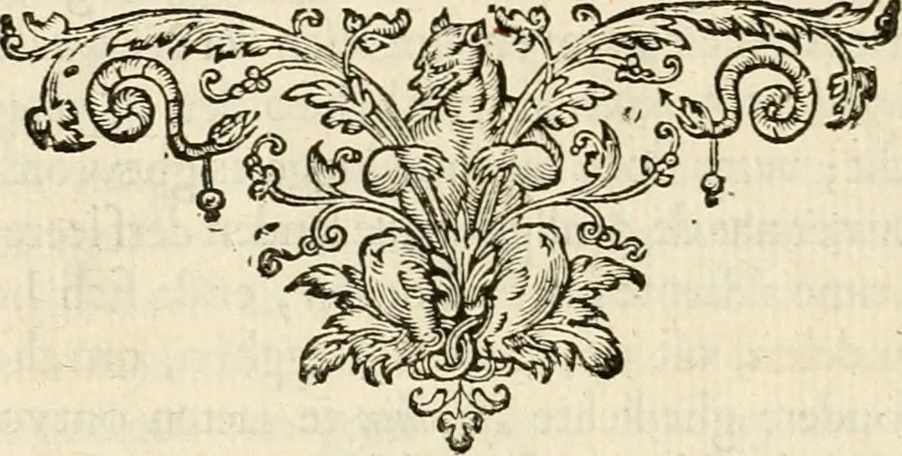 An illustration from Zeeusche nachtegael, ende, Des selfs dryderley gesang : geheel anders inder waerheyt verthoont, als de selve voor desen by sommighe uyt enckel mis-verstant verkeerdelijk is gheoordeelt, 1623, leaf 11