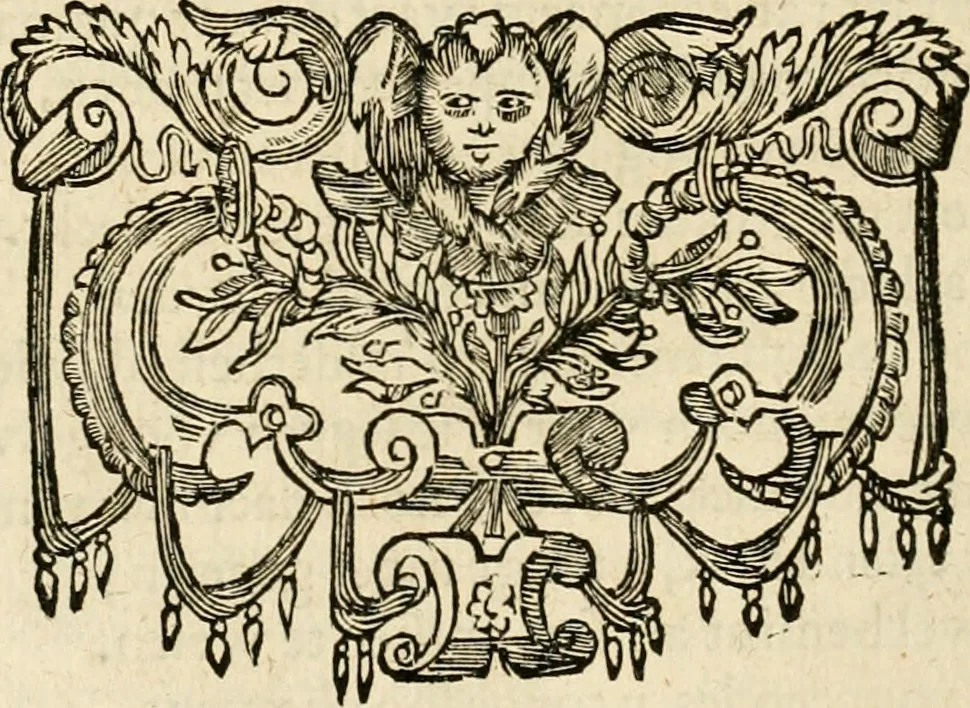 An illustration from Zeeusche nachtegael, ende, Des selfs dryderley gesang : geheel anders inder waerheyt verthoont, als de selve voor desen by sommighe uyt enckel mis-verstant verkeerdelijk is gheoordeelt, 1623, leaf 21