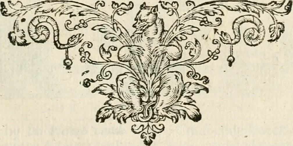 An illustration from Zeeusche nachtegael, ende, Des selfs dryderley gesang : geheel anders inder waerheyt verthoont, als de selve voor desen by sommighe uyt enckel mis-verstant verkeerdelijk is gheoordeelt, 1623, leaf 232