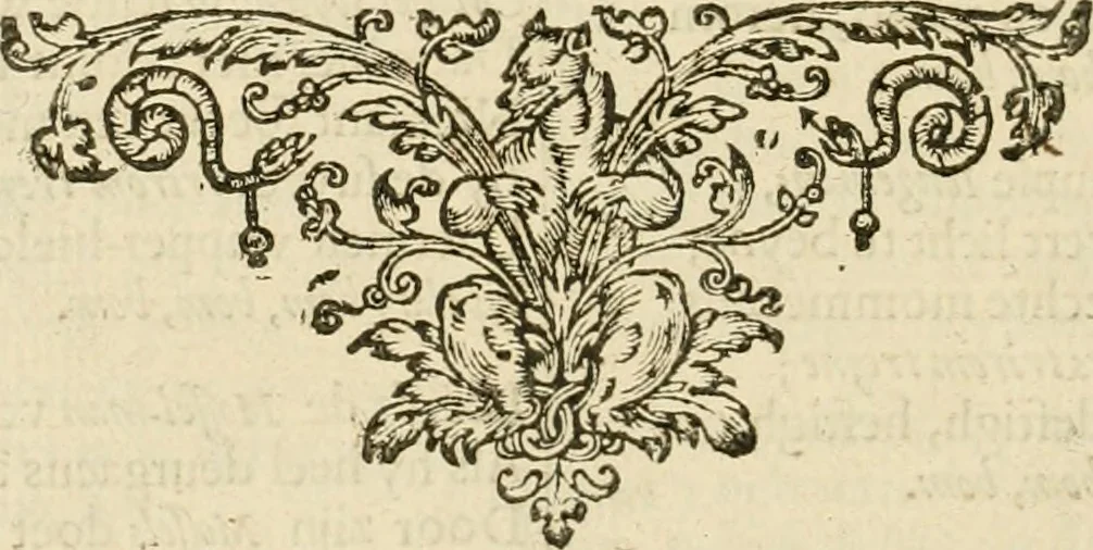 An illustration from Zeeusche nachtegael, ende, Des selfs dryderley gesang : geheel anders inder waerheyt verthoont, als de selve voor desen by sommighe uyt enckel mis-verstant verkeerdelijk is gheoordeelt, 1623, leaf 345