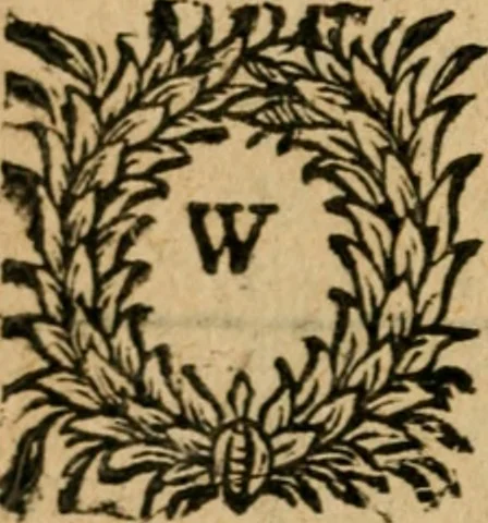 An illustration from Zeeusche nachtegael : ende des selfs driederley ghesang : geheel anders in der waerheydt verthoont, als de selve voor desen by sommige uyt enckel misverstant verkeerdelijck is gheoordeelt, 1633, leaf 123