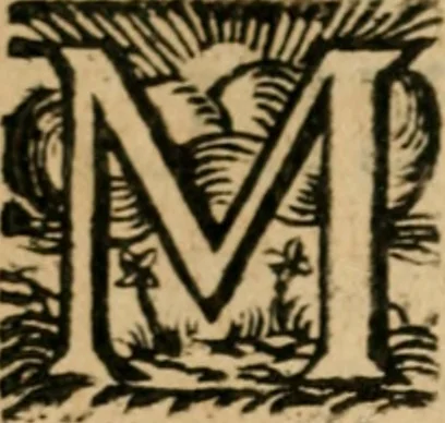 An illustration from Zeeusche nachtegael : ende des selfs driederley ghesang : geheel anders in der waerheydt verthoont, als de selve voor desen by sommige uyt enckel misverstant verkeerdelijck is gheoordeelt, 1633, leaf 13