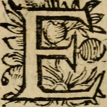 An illustration from Zeeusche nachtegael : ende des selfs driederley ghesang : geheel anders in der waerheydt verthoont, als de selve voor desen by sommige uyt enckel misverstant verkeerdelijck is gheoordeelt, 1633, leaf 16