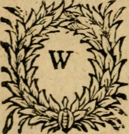 An illustration from Zeeusche nachtegael : ende des selfs driederley ghesang : geheel anders in der waerheydt verthoont, als de selve voor desen by sommige uyt enckel misverstant verkeerdelijck is gheoordeelt, 1633, leaf 233