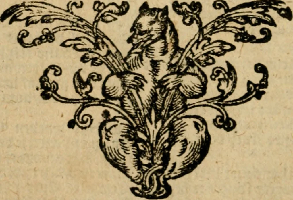 An illustration from Zeeusche nachtegael : ende des selfs driederley ghesang : geheel anders in der waerheydt verthoont, als de selve voor desen by sommige uyt enckel misverstant verkeerdelijck is gheoordeelt, 1633, leaf 309