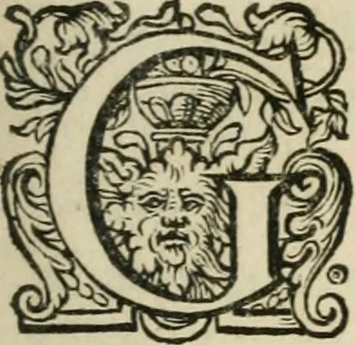 An illustration from Zeevsche nachtegael, ende des selfs dryderley gesang, ..., 1623, leaf 104
