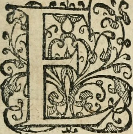 An illustration from Zeevsche nachtegael, ende des selfs dryderley gesang, ..., 1623, leaf 12