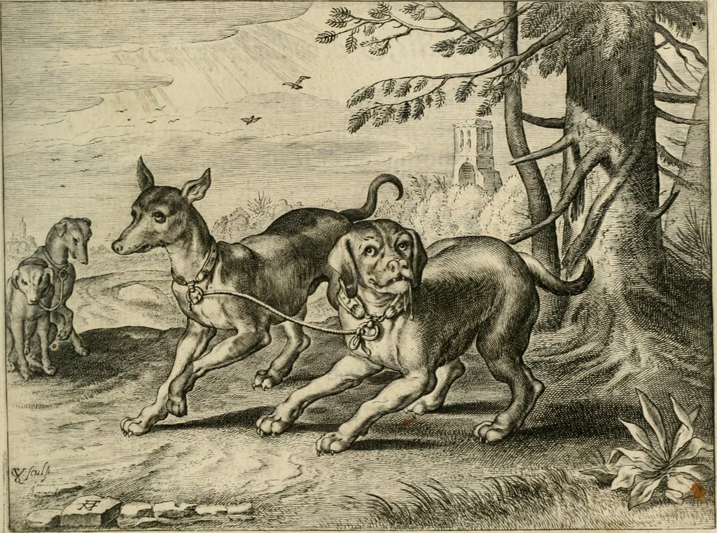 An illustration from Zeevsche nachtegael, ende des selfs dryderley gesang, ..., 1623, leaf 134