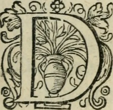 An illustration from Zeevsche nachtegael, ende des selfs dryderley gesang, ..., 1623, leaf 168
