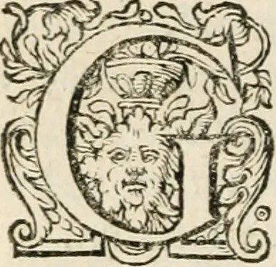 An illustration from Zeevsche nachtegael, ende des selfs dryderley gesang, ..., 1623, leaf 179