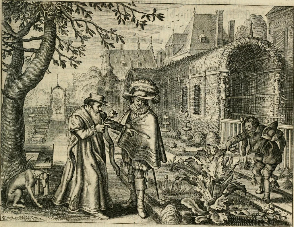 An illustration from Zeevsche nachtegael, ende des selfs dryderley gesang, ..., 1623, leaf 188