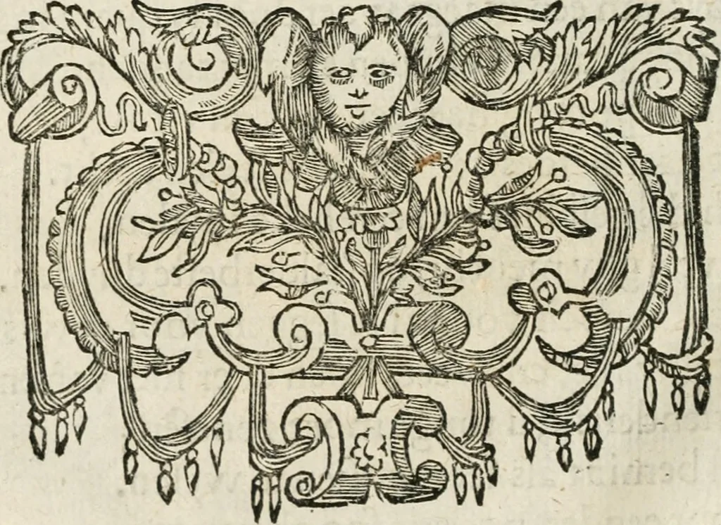 An illustration from Zeevsche nachtegael, ende des selfs dryderley gesang, ..., 1623, leaf 19