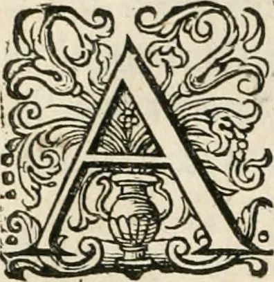 An illustration from Zeevsche nachtegael, ende des selfs dryderley gesang, ..., 1623, leaf 27