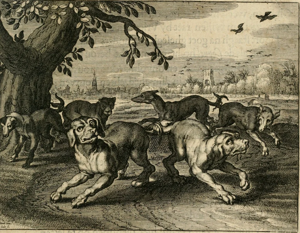 An illustration from Zeevsche nachtegael, ende des selfs dryderley gesang, ..., 1623, leaf 294