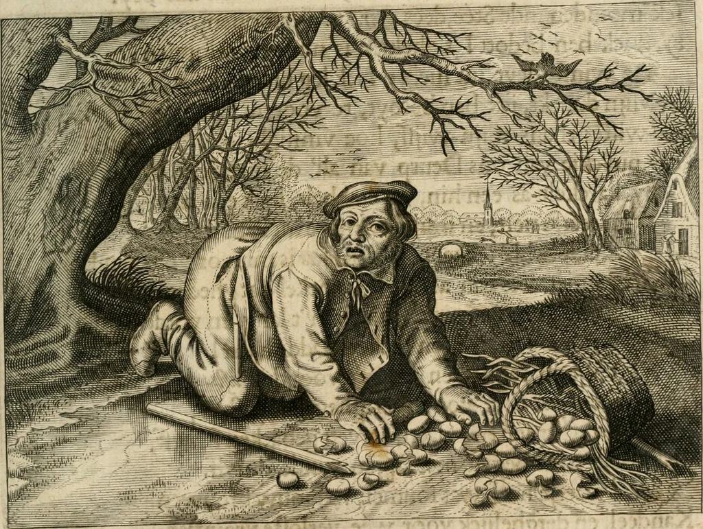An illustration from Zeevsche nachtegael, ende des selfs dryderley gesang, ..., 1623, leaf 312