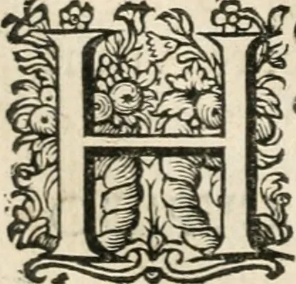 An illustration from Zeevsche nachtegael, ende des selfs dryderley gesang, ..., 1623, leaf 33