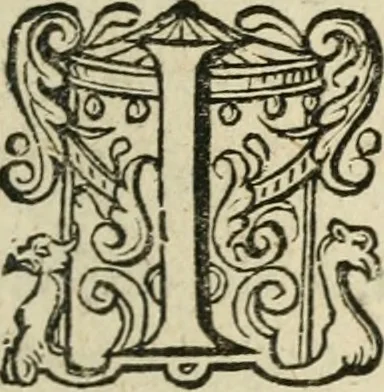 An illustration from Zeevsche nachtegael, ende des selfs dryderley gesang, ..., 1623, leaf 40