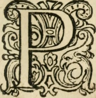An illustration from Zeevsche nachtegael, ende des selfs dryderley gesang, ..., 1623, leaf 54