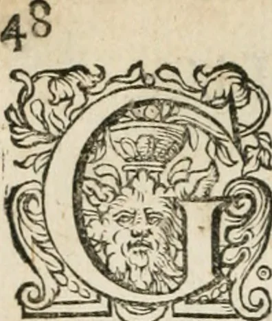 An illustration from Zeevsche nachtegael, ende des selfs dryderley gesang, ..., 1623, leaf 61