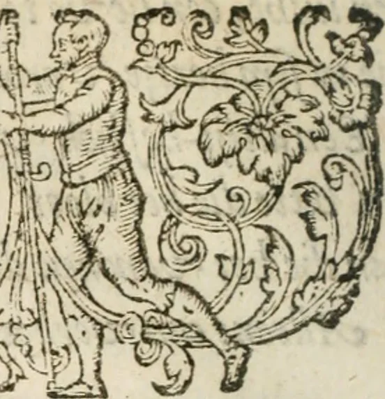 An illustration from Zeevsche nachtegael, ende des selfs dryderley gesang, ..., 1623, leaf 91