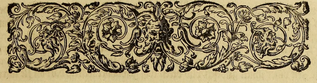 An illustration from Zehender Theil America. : Darinnen zubefinden: erstlich, zwo Schiffarten Herrn Americi Vesputii vnter König Ferdinando in Castilien vollbracht. Zum andern: ein gründlicher Bericht von dem jetzigen Zustand der Landschafft Virginien, wie nemlich der Friede mit den Indianern, vollnzogen, vnd den Englischen zum Schutz dess Lands allda etliche Stätt vnd Vestung erbawet worden. Beneben einer Heyrath dess Königs Powhatans in Virginien Tochter, mit einem vornemmen Englischen, durch Raphe Homar einen Secretarien in Virginien beschrieben, in Hochteutsch vbersetzt. Zum dritten: ein warhafftige Beschreibung dess newen Engellands, einer Landschafft in Nord-Indien, eines Theils in America, von Capitein Johann Schmiden, Rittern vnd Admiraln beschrieben, neben einem Discurs, wie er auff der andern Reyse von den Frantzosen gefangen, vnd widerumb Anno 1616. erlediger worden., 1618, leaf 13