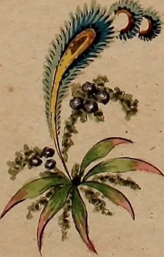 An illustration from Zeichen- Mahler- und Stickerbuch zur Selbstbelehrung für Damen, welche sich mit diesen Künsten beschäftigen, 1795, leaf 44