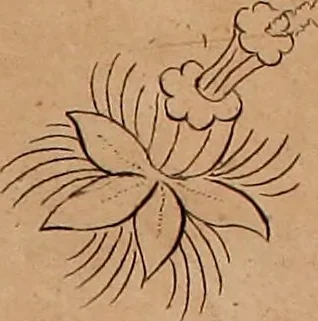 An illustration from Zeichen- Mahler- und Stickerbuch zur Selbstbelehrung für Damen, welche sich mit diesen Künsten beschäftigen, 1795, leaf 46