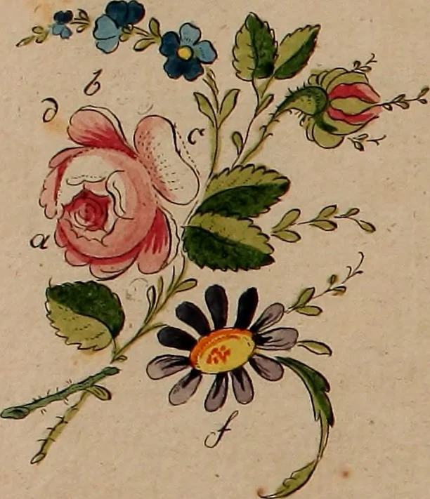 An illustration from Zeichen- Mahler- und Stickerbuch zur Selbstbelehrung für Damen, welche sich mit diesen Künsten beschäftigen, 1795, leaf 48