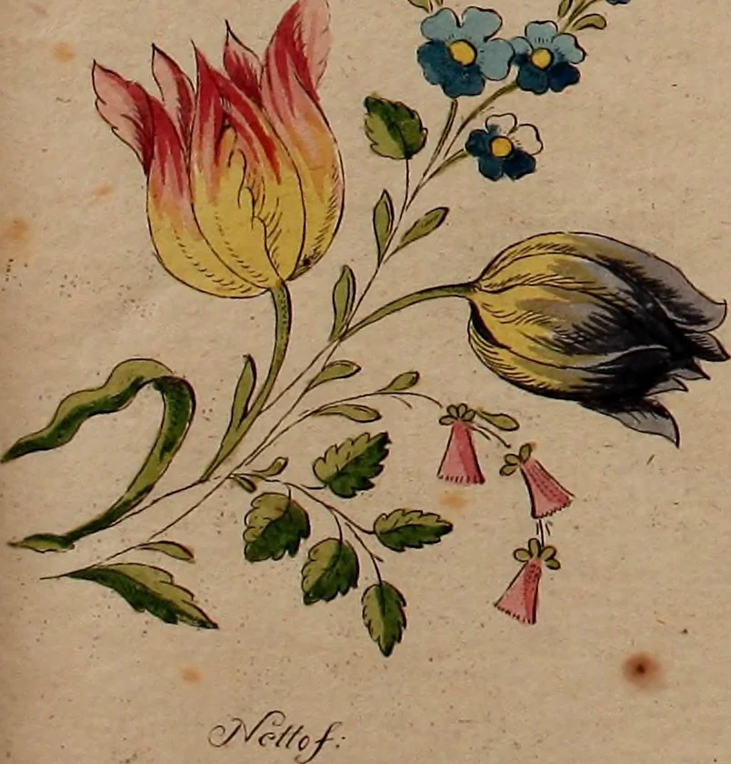 An illustration from Zeichen- Mahler- und Stickerbuch zur Selbstbelehrung für Damen, welche sich mit diesen Künsten beschäftigen, 1795, leaf 48