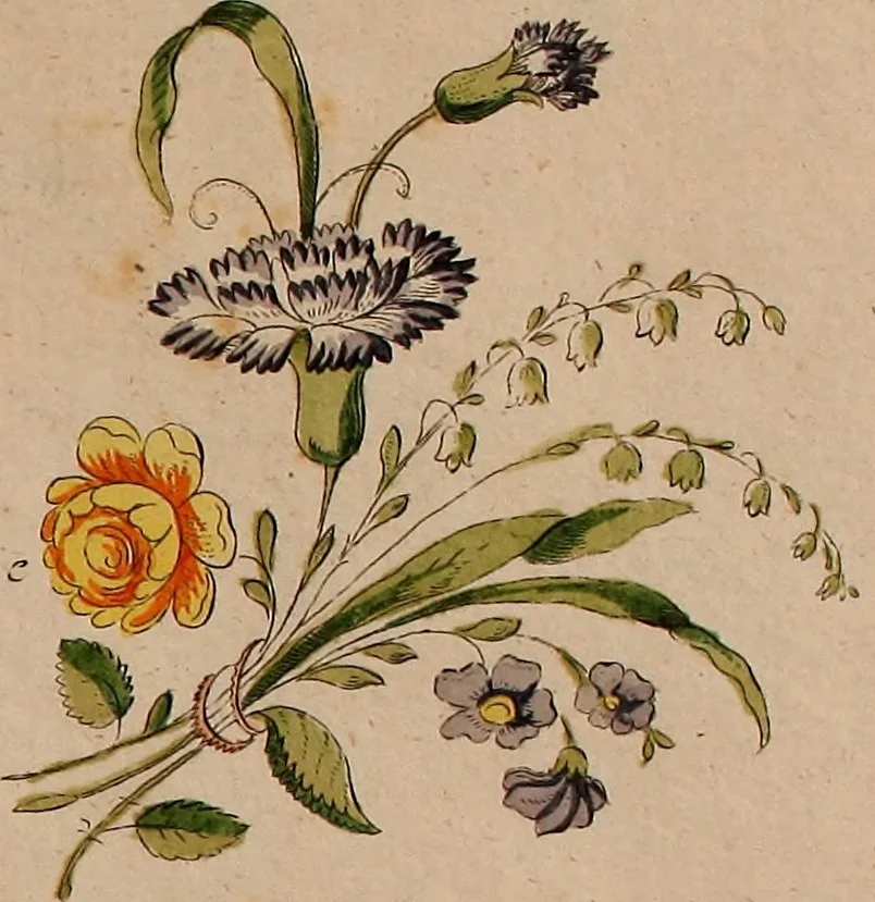 An illustration from Zeichen- Mahler- und Stickerbuch zur Selbstbelehrung für Damen, welche sich mit diesen Künsten beschäftigen, 1795, leaf 48