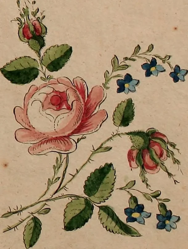 An illustration from Zeichen- Mahler- und Stickerbuch zur Selbstbelehrung für Damen, welche sich mit diesen Künsten beschäftigen, 1795, leaf 48