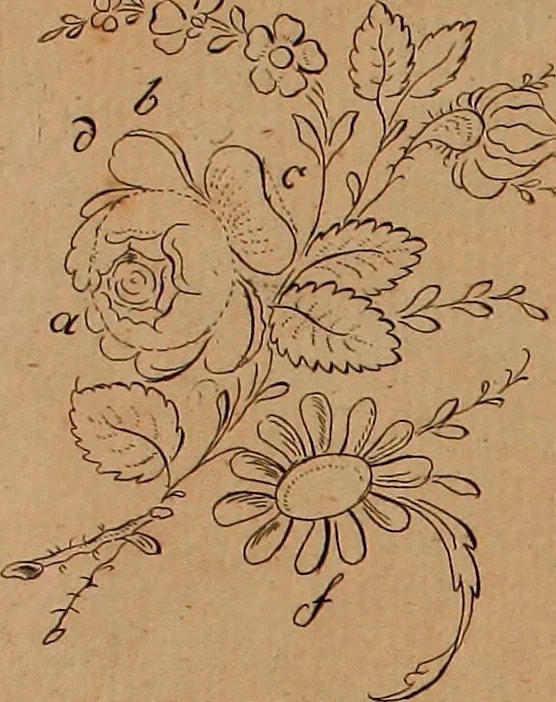 An illustration from Zeichen- Mahler- und Stickerbuch zur Selbstbelehrung für Damen, welche sich mit diesen Künsten beschäftigen, 1795, leaf 50