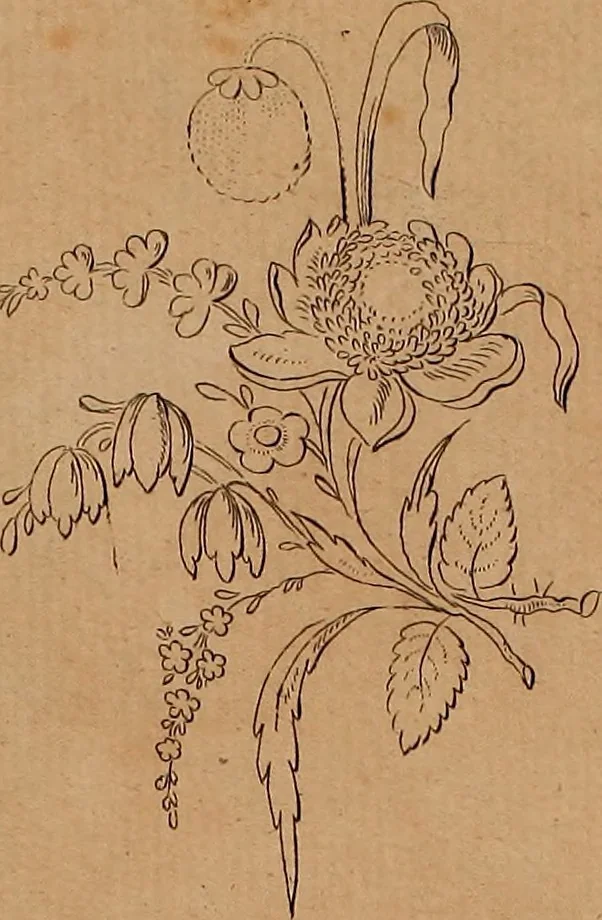 An illustration from Zeichen- Mahler- und Stickerbuch zur Selbstbelehrung für Damen, welche sich mit diesen Künsten beschäftigen, 1795, leaf 50