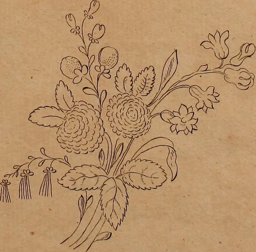An illustration from Zeichen- Mahler- und Stickerbuch zur Selbstbelehrung für Damen, welche sich mit diesen Künsten beschäftigen, 1795, leaf 50