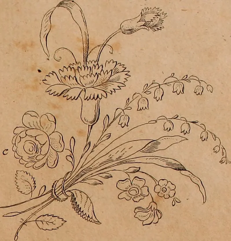 An illustration from Zeichen- Mahler- und Stickerbuch zur Selbstbelehrung für Damen, welche sich mit diesen Künsten beschäftigen, 1795, leaf 50