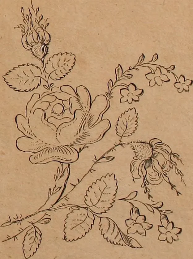 An illustration from Zeichen- Mahler- und Stickerbuch zur Selbstbelehrung für Damen, welche sich mit diesen Künsten beschäftigen, 1795, leaf 50