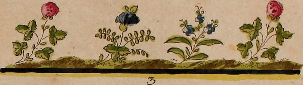 An illustration from Zeichen- Mahler- und Stickerbuch zur Selbstbelehrung für Damen, welche sich mit diesen Künsten beschäftigen, 1795, leaf 60
